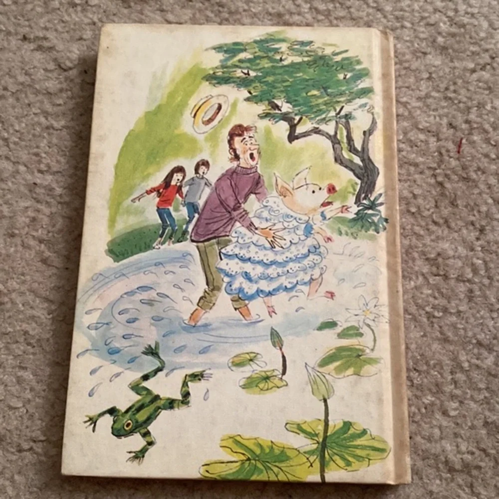 Vintage 1972 Marvelous O'Hara Soapstone Zibby Oneal Weekly Reader Hardcover